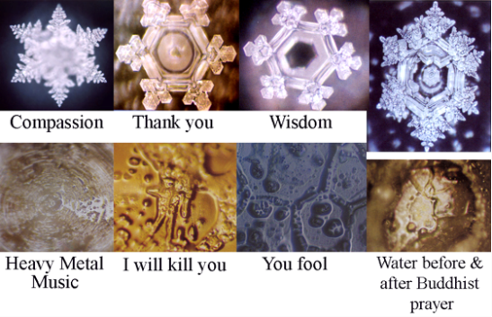 Dr. Emoto’s Water Structures in Your Environment – Which One Does Your Space Resemble?