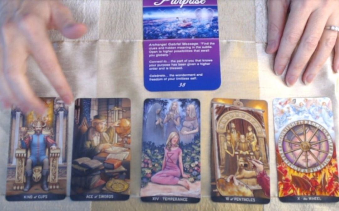 Trust Your Creative Ideas To Manifest | Your Daily Tarot Reading VIDEO
