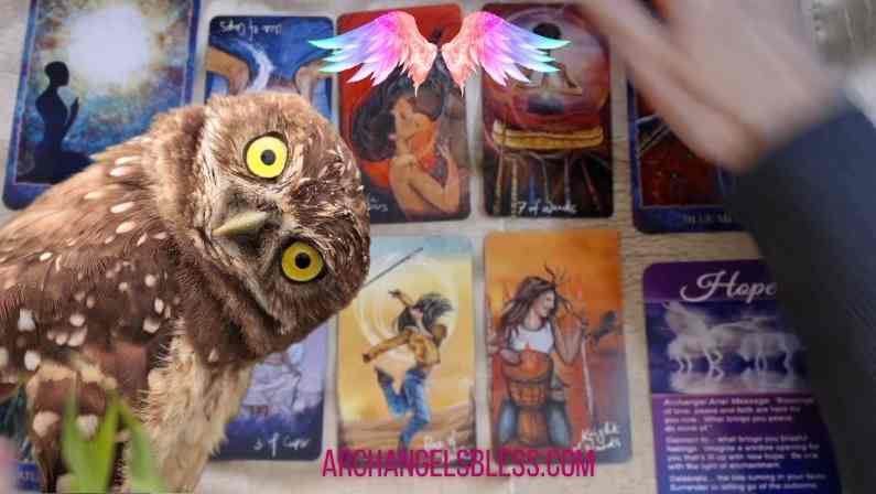 Cosmic Awakening of the Ages 🦉 Your Daily Tarot Reading with Kimberly Dawn VIDEO