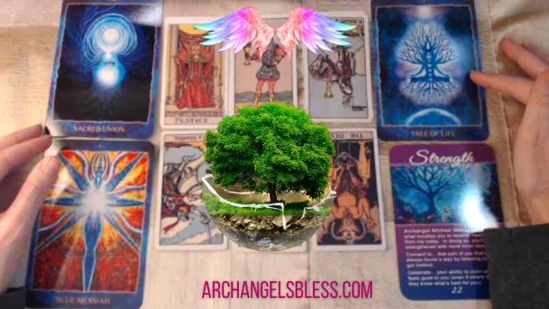 Tree of Life Strength 🌳 November 3rd, 2021 Your Daily Tarot Reading with Kimberly Dawn VIDEO