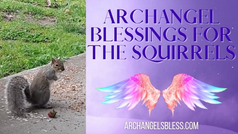 Archangel Blessings for the Squirrels [Videos]