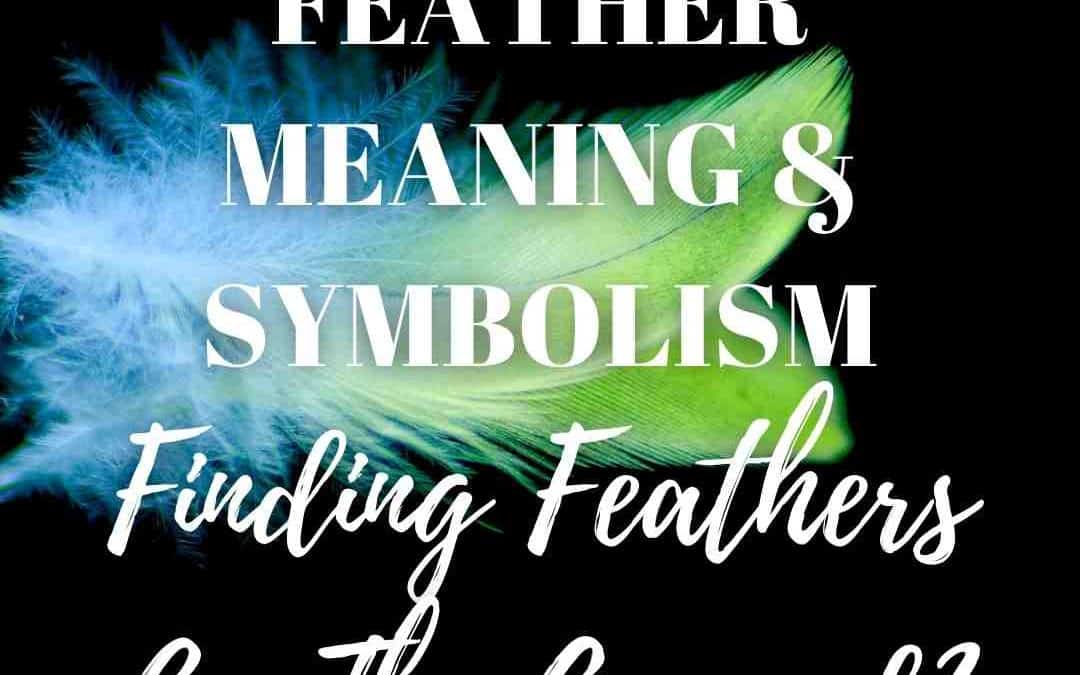 Feather Meaning And Spiritual Symbolism