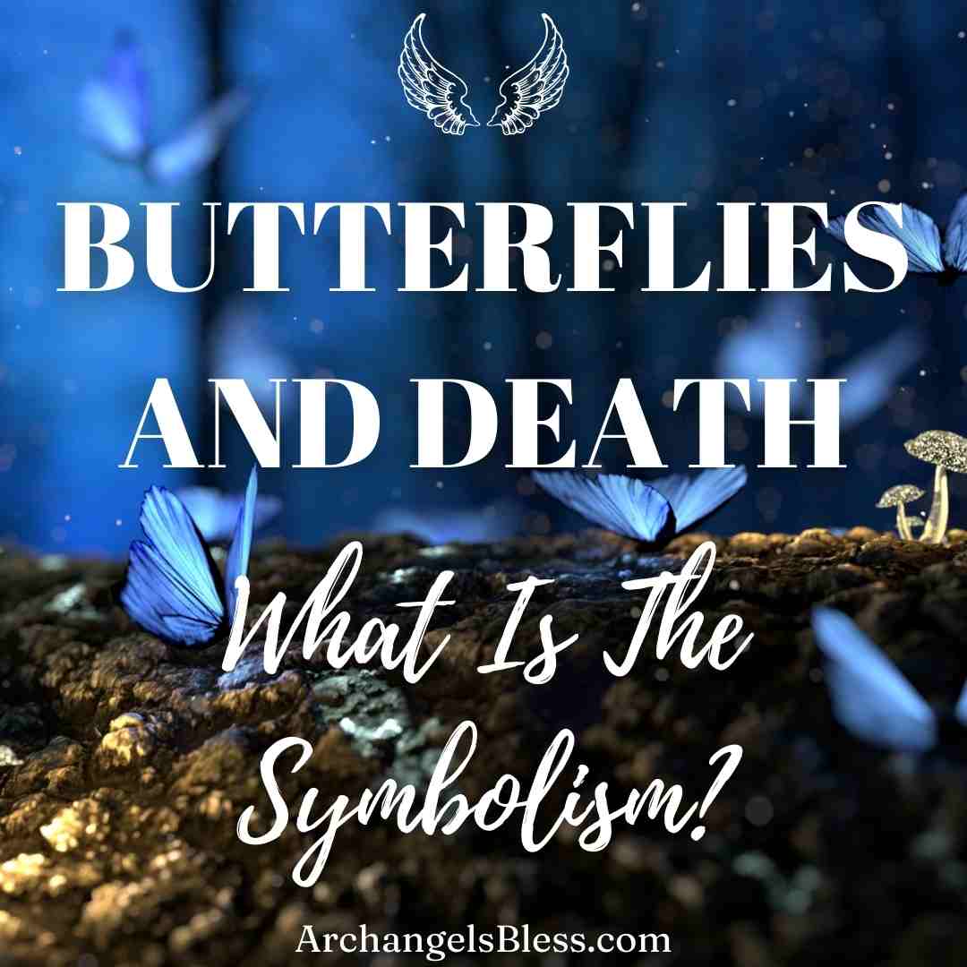 What Is The Symbolism Of Butterflies and Death, Butterfly Symbolism Spiritual, Seeing Butterflies After Someone Dies, Butterfly Symbolism Death, Seeing Butterflies Before Death, Seeing a Butterfly Meaning, Butterflies From Heaven Meaning, Butterfly As A Symbol Of Personality, When A Butterfly Visits You