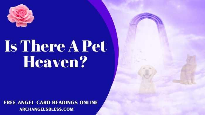 Is There A Pet Heaven | Dog Heaven | Near Death Experience