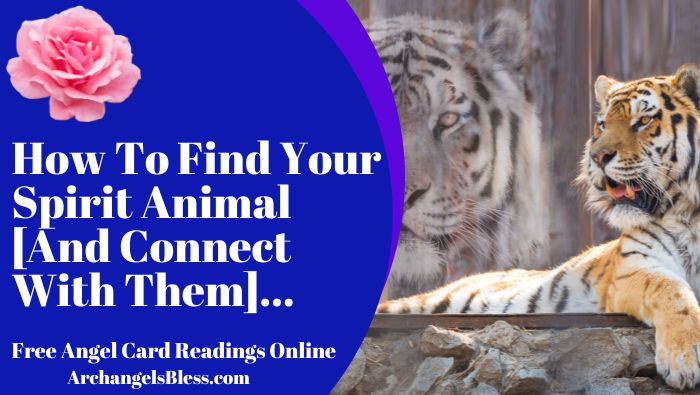 How To Find Your Spirit Animal [And Connect With Them]…