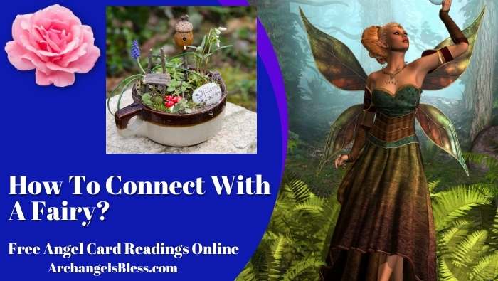 How To Connect With A Fairy?
