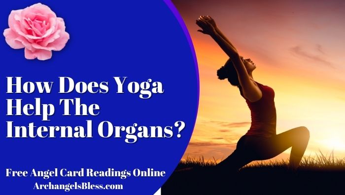 How Does Yoga Help The Internal Organs?