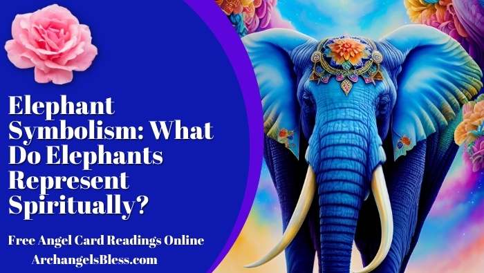 Elephant Symbolism: What Do Elephants Represent Spiritually?