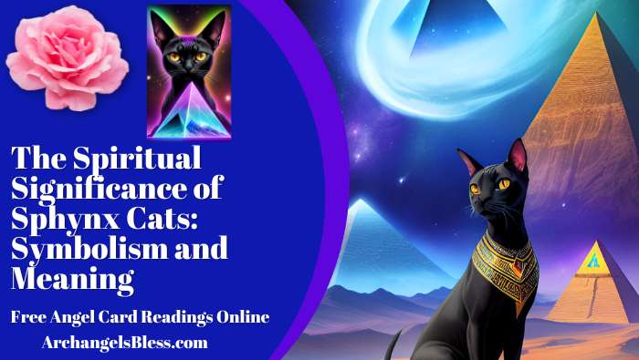 The Spiritual Significance of Sphynx Cats: Symbolism and Meaning