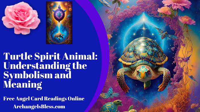 Turtle Spirit Animal: Understanding the Symbolism and Meaning