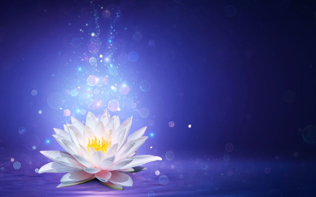 New Year’s Meditation – Create A Blessed New Life Session- 40 Min AUDIO